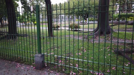 cercas debajo parque cerrado con hilos de seda árboles flores en la ciudad de buenos aires argentina en un día lluvioso