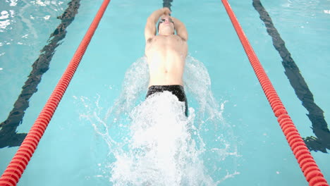 swimming in lane, male athlete making powerful strokes in competitive pool