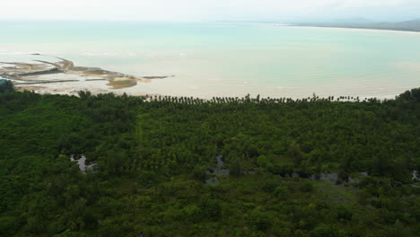 An-aerial-shot-made-above-the-tree-tops-near-the-coastline-of-Khao-Lak,-Thailand