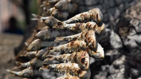 brocheta de pescado de sardinas al fuego a la parrilla con leña ardiendo