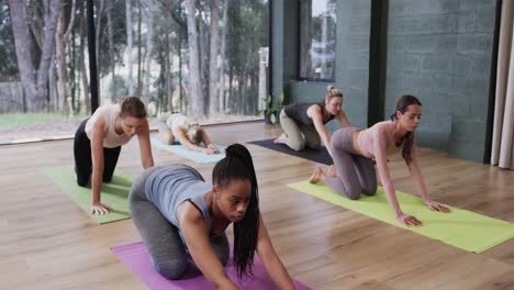 Focused-diverse-women-in-child-pose-together-on-mats-in-yoga-class-with-female-coach,-slow-motion