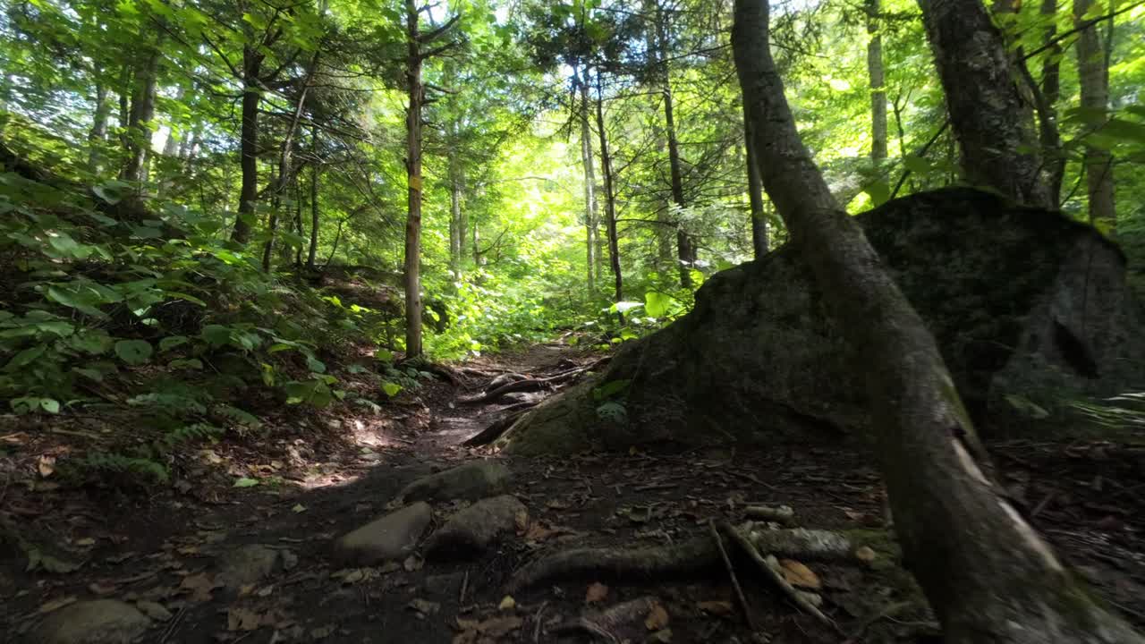 Esplorando i sentieri intorno al Monte Sutton, Quebec, Canada.