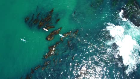 Vista-Aérea-De-Pájaros-De-Personas-En-Kayaks-En-Kayak-En-Aguas-Turquesas-Del-Océano-Cerca-De-Laguna-Beach,-California,-Ee