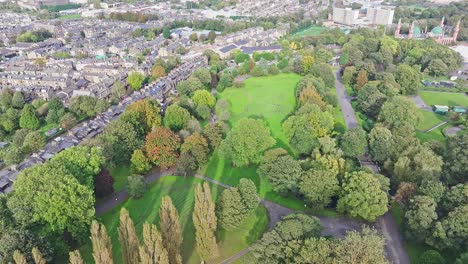 an aerial look at magnificent trees in bradford centre