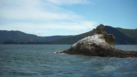 Group-of-birds-king-shag-and-seagull-flying-above-ocean-in-Marlborough-Sounds,-New-Zealand-with-mountains-in-background
