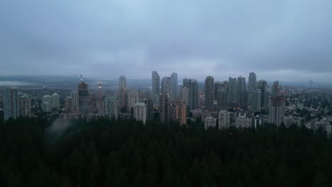 Aerial-view-of-urban-skyline-framed-by-lush-foliage