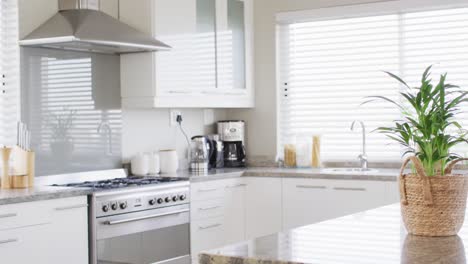 general view of kitchen with kitchen equipment and plant on countertop, slow motion