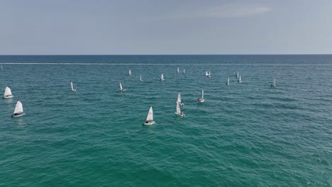 sailing regatta on the ocean