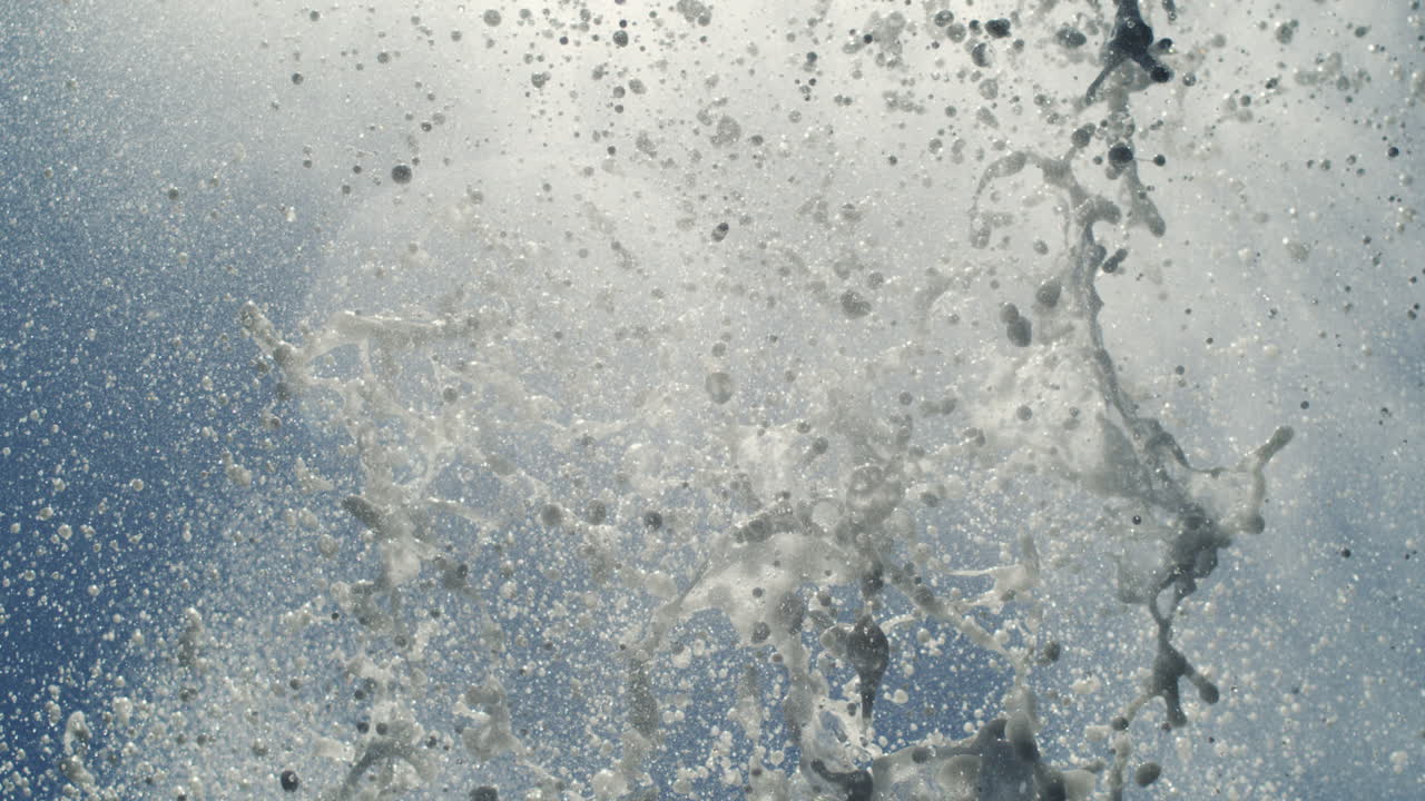 Slow motion water spray pattern from blowhole forms organic arc against light ocean sky