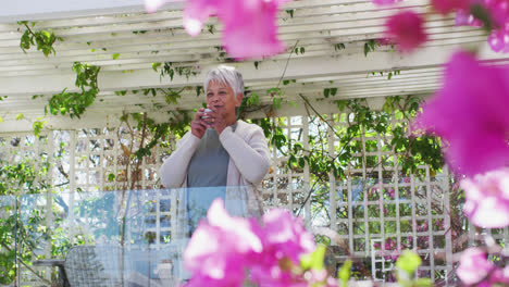 Senior-mixed-race-woman-drinking-coffee-on-balcony-in-garden