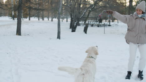 woman playing with her golden retriever in the snow