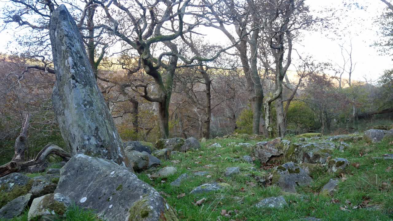 misterioso bosque antiguo círculo de piedra atracción turística monumento dolly right