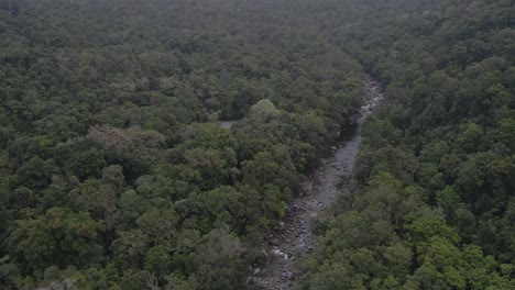 Río-Rocoso-De-Mossman-Gorge-Rodeado-De-Un-Vasto-Bosque-Verde-En-Shire-Of-Douglas,-Qld,-Australia