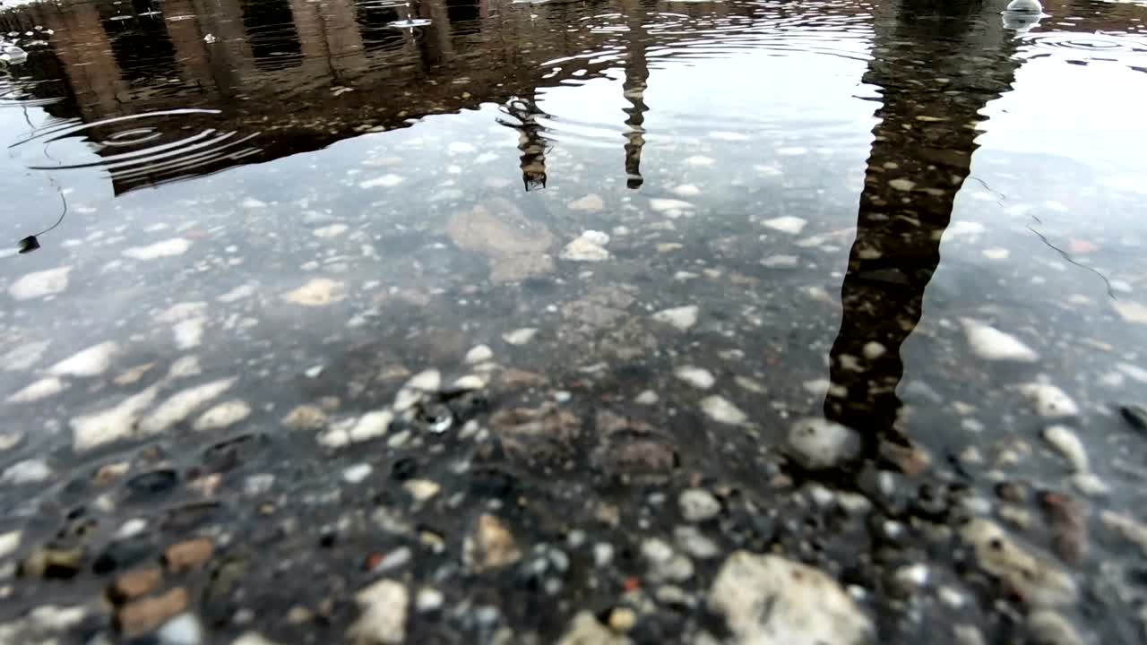 Regendruppels in de plas