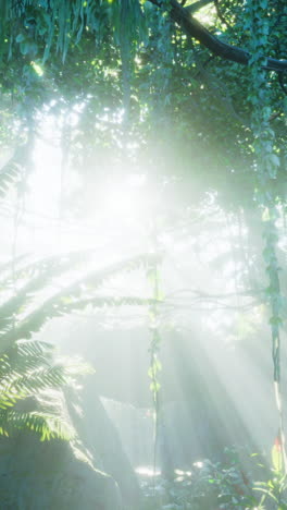 misty rainforest and bright sun beams through trees branches