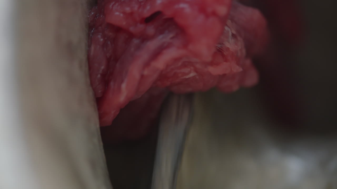 picado de carne cruda en molinillo de carne