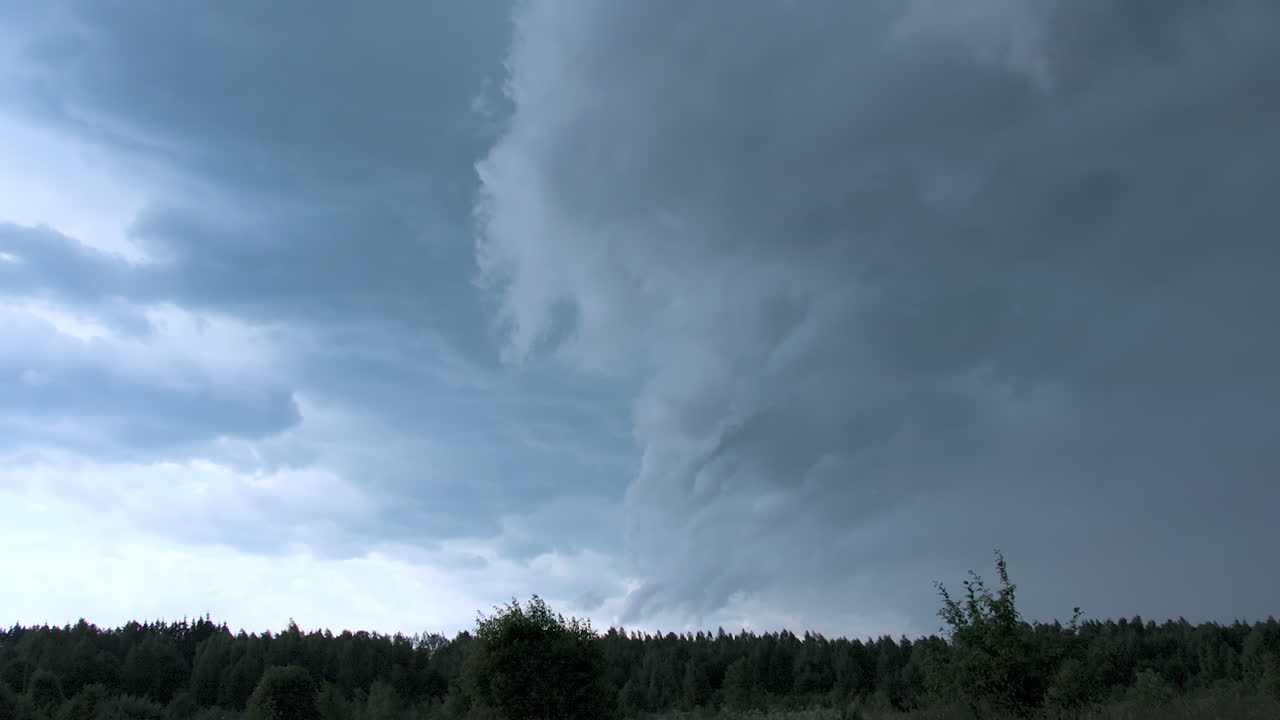 숲 위의 폭풍우 구름