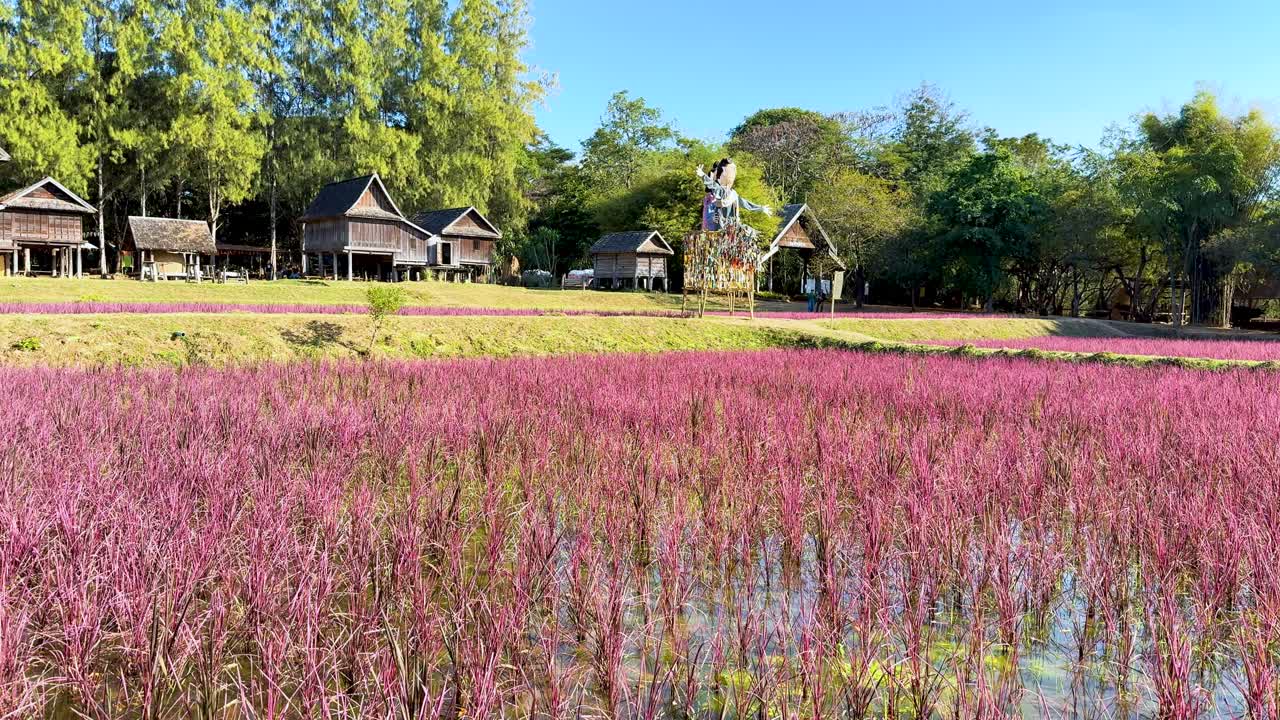 전통적인 집과 함께 활기찬