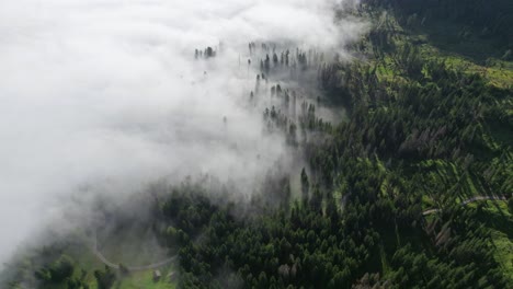 La-Mística-De-La-Naturaleza-Se-Manifiesta-Plenamente-A-Medida-Que-Se-Eleva-Una-Densa-Niebla-Que-Cubre-Suavemente-La-Ladera-Y-Los-árboles-Verdes,-Creando-Una-Vista-De-Ensueño.