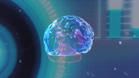 animación del cerebro humano con procesamiento de datos de interfaz digital