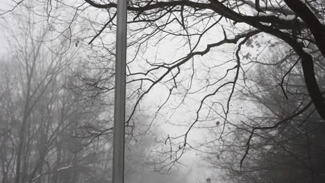 una fuerte niebla en un vecindario suburbano