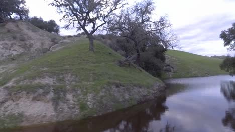 Drone-does-a-sliding-shot-above-a-small-dam-of-a-blue-pond,-then-continues-to-raise-and-reveal-more-water-behind-a-big-oak-tree