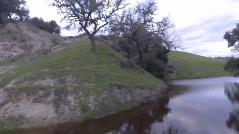 el dron hace un disparo deslizante sobre una pequeña presa de un estanque azul, luego continúa elevándose y revela más agua detrás de un gran roble.