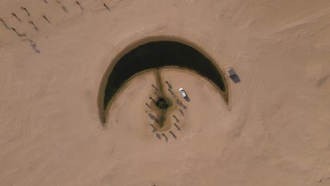 top view of the moon lake in dubai, moon shape lake is in the middle of al qudra desert, surrounded by golden sand dunes in the united arab emirates