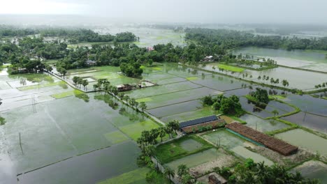 Como-Resultado-De-Las-Fuertes-Lluvias,-Varios-Campos-De-Bengala-Occidental-A-Lo-Largo-De-Las-Orillas-Del-Ganges-Quedaron-Sumergidos