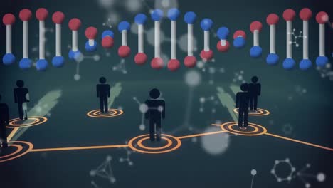 animación de la cadena de adn girando con personas iconos y red de conexiones
