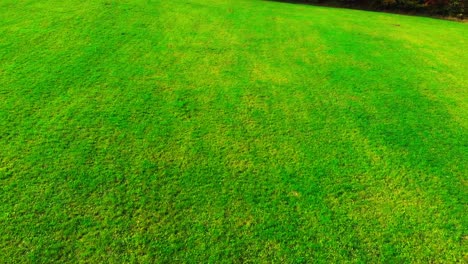 aerial view green fields village