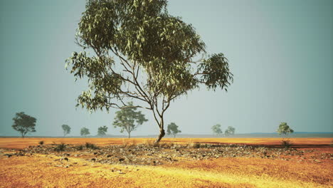 paisaje vibrante con un árbol solitario en un amplio campo abierto al anochecer