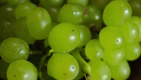 primer plano de un racimo de uvas verdes