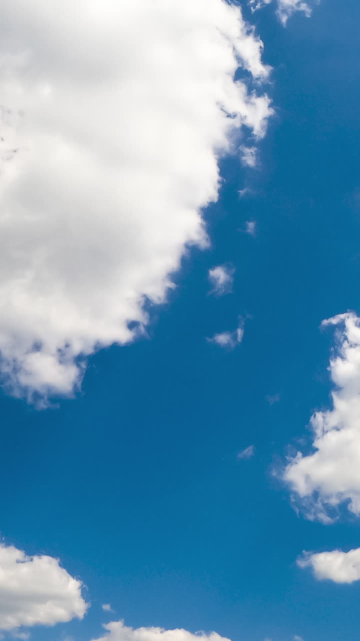 Lovely white clouds forming in the atmosphere. Fluffy clouds lit with bright summer sun. Low angle view timelapse. Vertical video