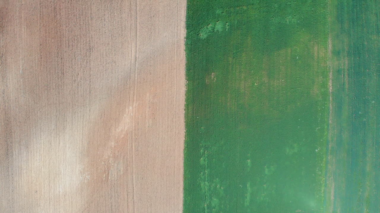 Aerial view of a field with green sprouting young vegetation and a yellow ungreen field surface, abstract impression