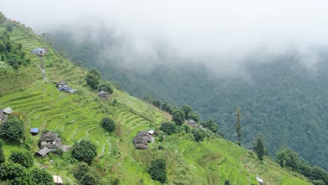 rural nepal remote village in himalayas with terraced paddy fields and rice paddies in himalaya mountains, rural villages with steep farming farm land in himalayas mountains