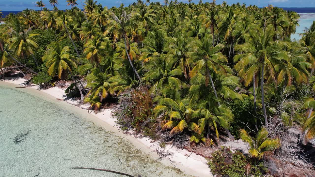 hermoso disparo aéreo de drones de una hermosa isla pequeña en la laguna tropical de fakarava