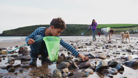 children with pet dog looking in rockpools on winter beach vacation