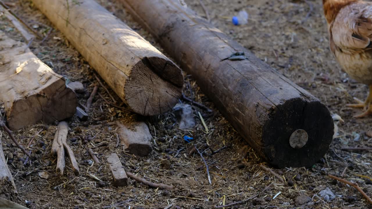 농장  ⁇ 과  ⁇