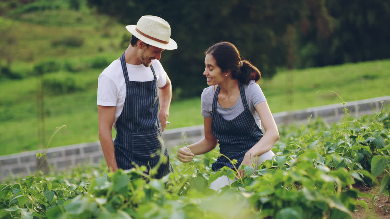 농업은 재미있을 수 있습니다.