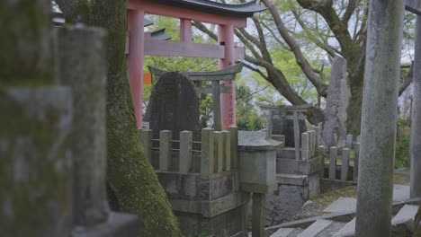 富士宮 富士山市 京都市