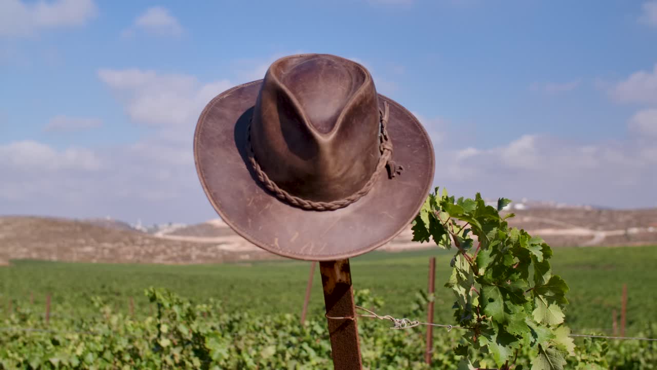 sombrero de vaquero en un viñedo soleado en el campo