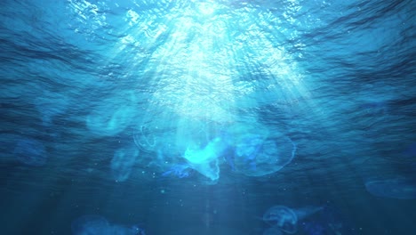 underwater sun rays in the ocean and jellyfish (loop)