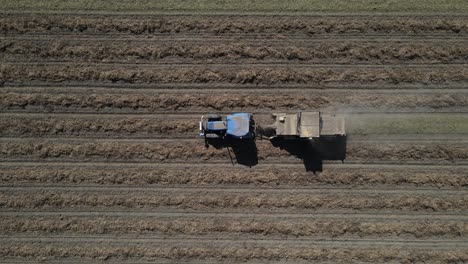 Peanut-Harvesting-Aerial-View