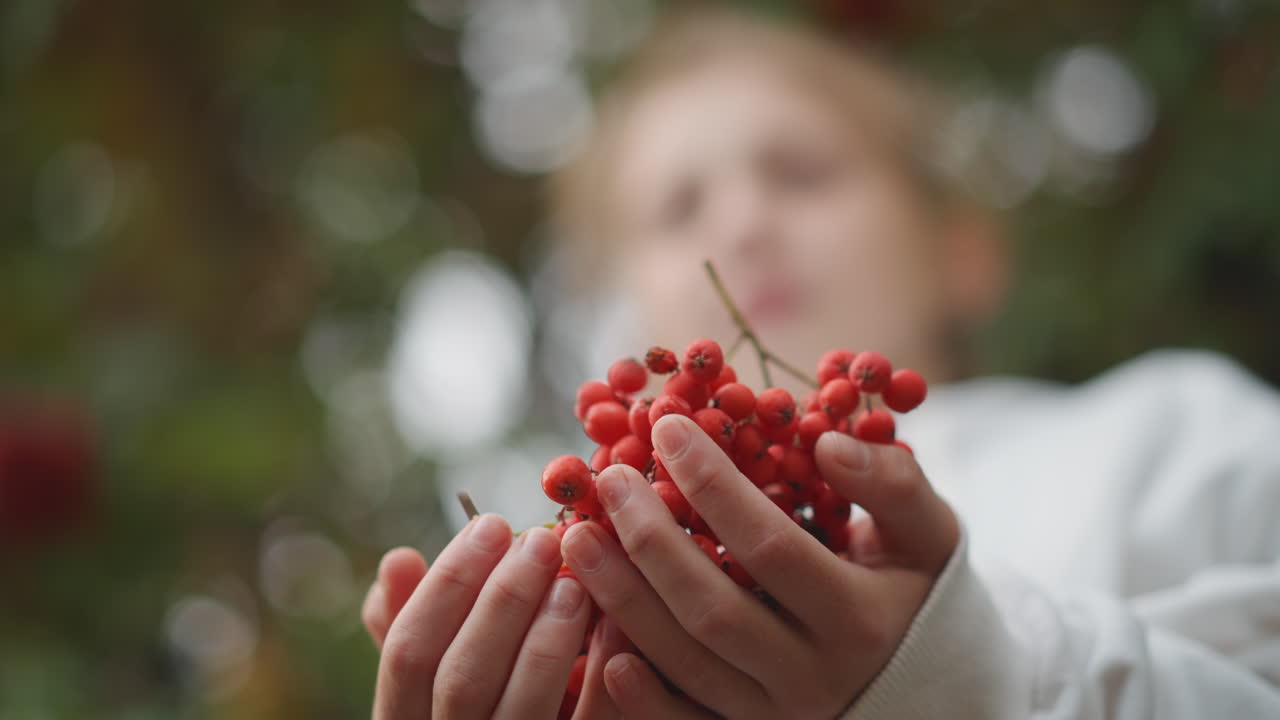 Child holding red berries in hands, closeup palms with cluster of ripe berries, soft bokeh foliage background, autumn light, curious youngster as forager and garden apprentice exploring seasonal