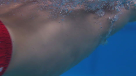 underwater shot of bearded man swimming with freestyle technique-1