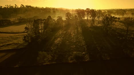 Spectacular-australian-sunrise-at-hills-overgrown-with-trees