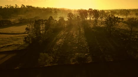 Espectacular-Amanecer-Australiano-En-Colinas-Cubiertas-De-árboles