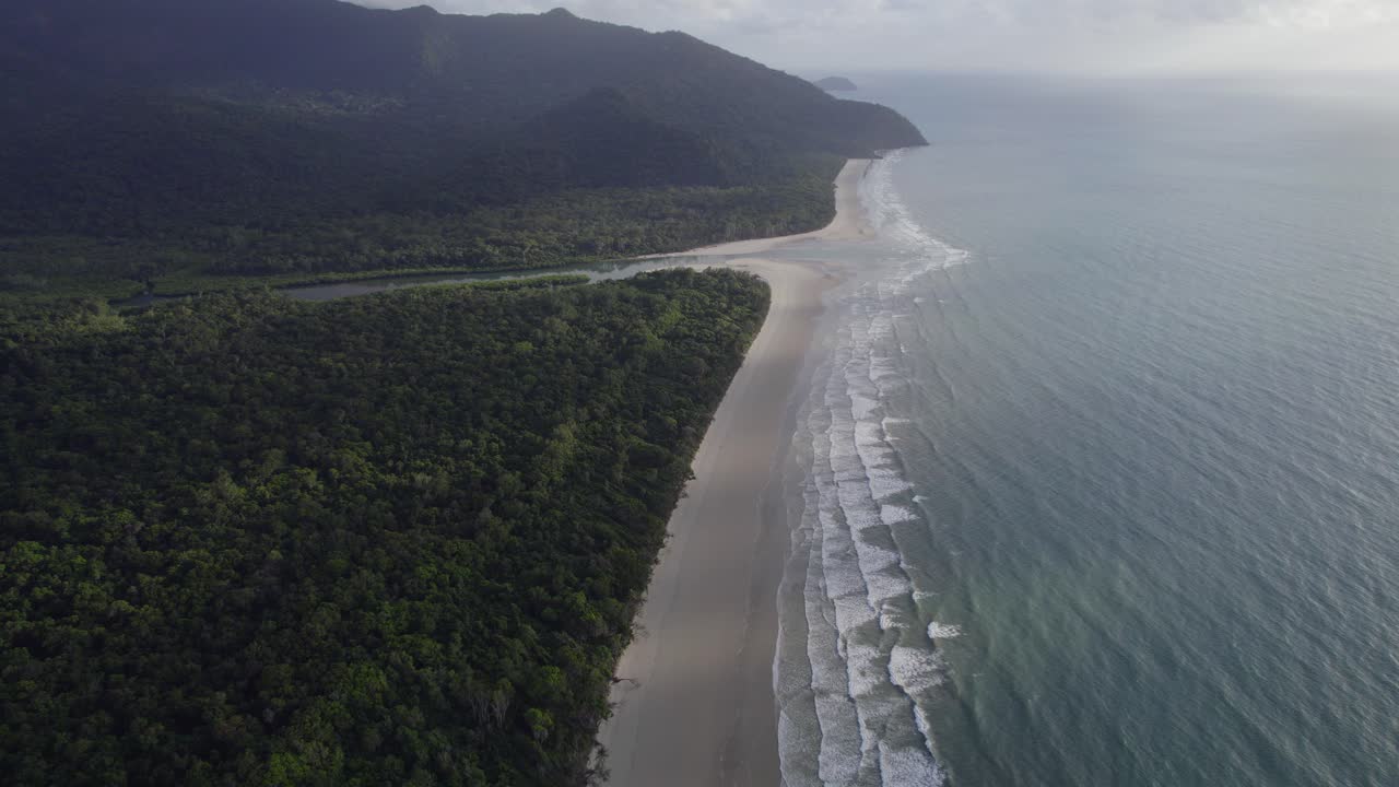 tranquila playa de bosque tropical del parque nacional daintree en queensland