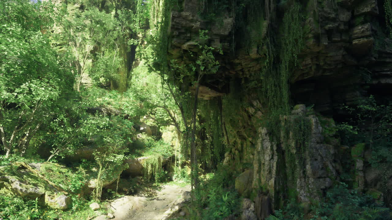 Discover a serene forest path amid unique rock formations